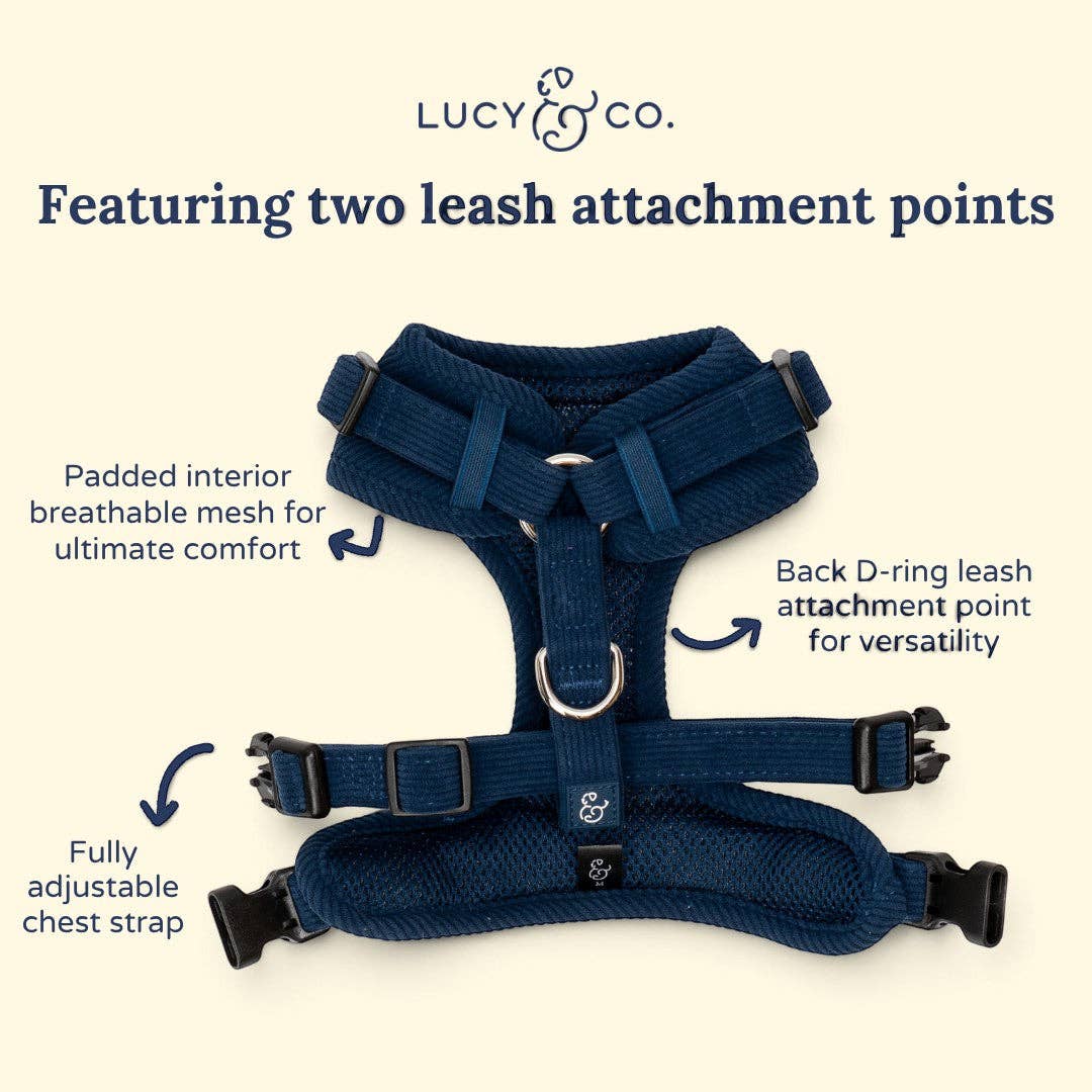 Lucy &amp; Co. - Appley Ever After Corduroy No-Pull Harness