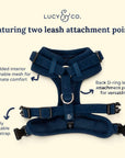Lucy & Co. - Appley Ever After Corduroy No-Pull Harness