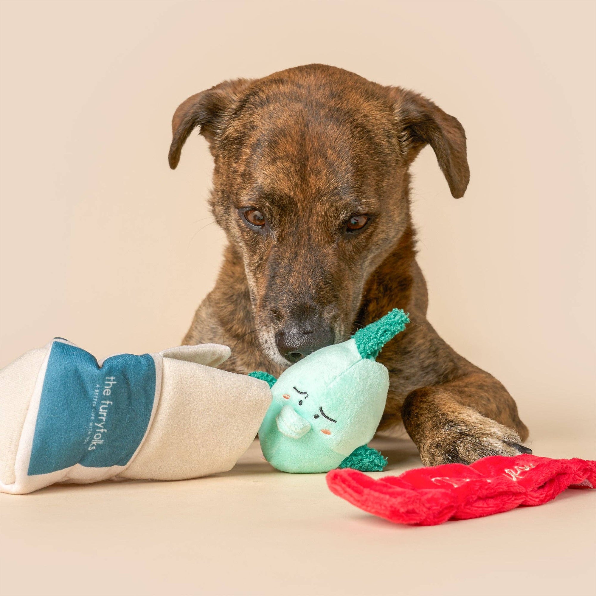 the furryfolks - Fish Express Nosework Toy