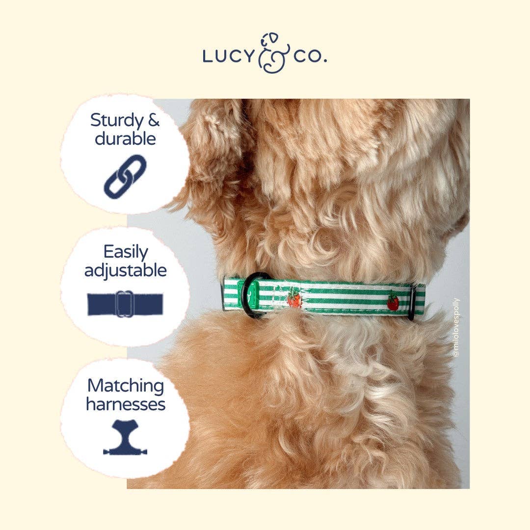 Lucy &amp; Co. - Woodland Wonder Corduroy Collar