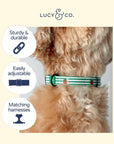 Lucy & Co. - Woodland Wonder Corduroy Collar