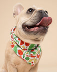 The Paws - Farmers Market Dog Bandana