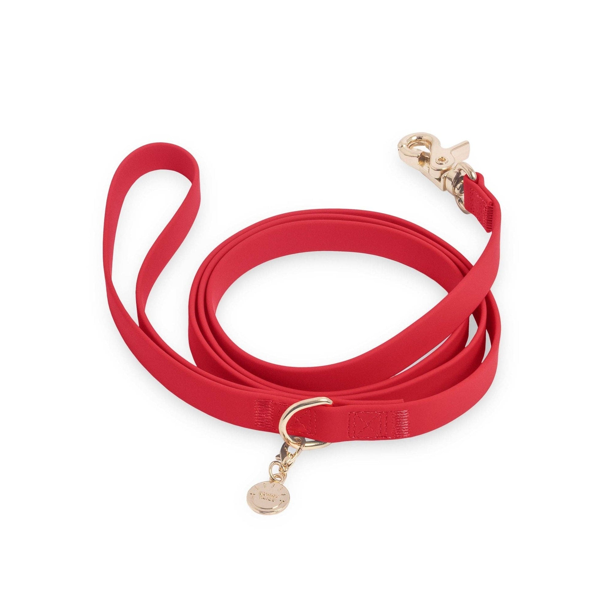 SUNNY TAILS - Cherry Red Waterproof Cloud Dog Leash: 5 FT