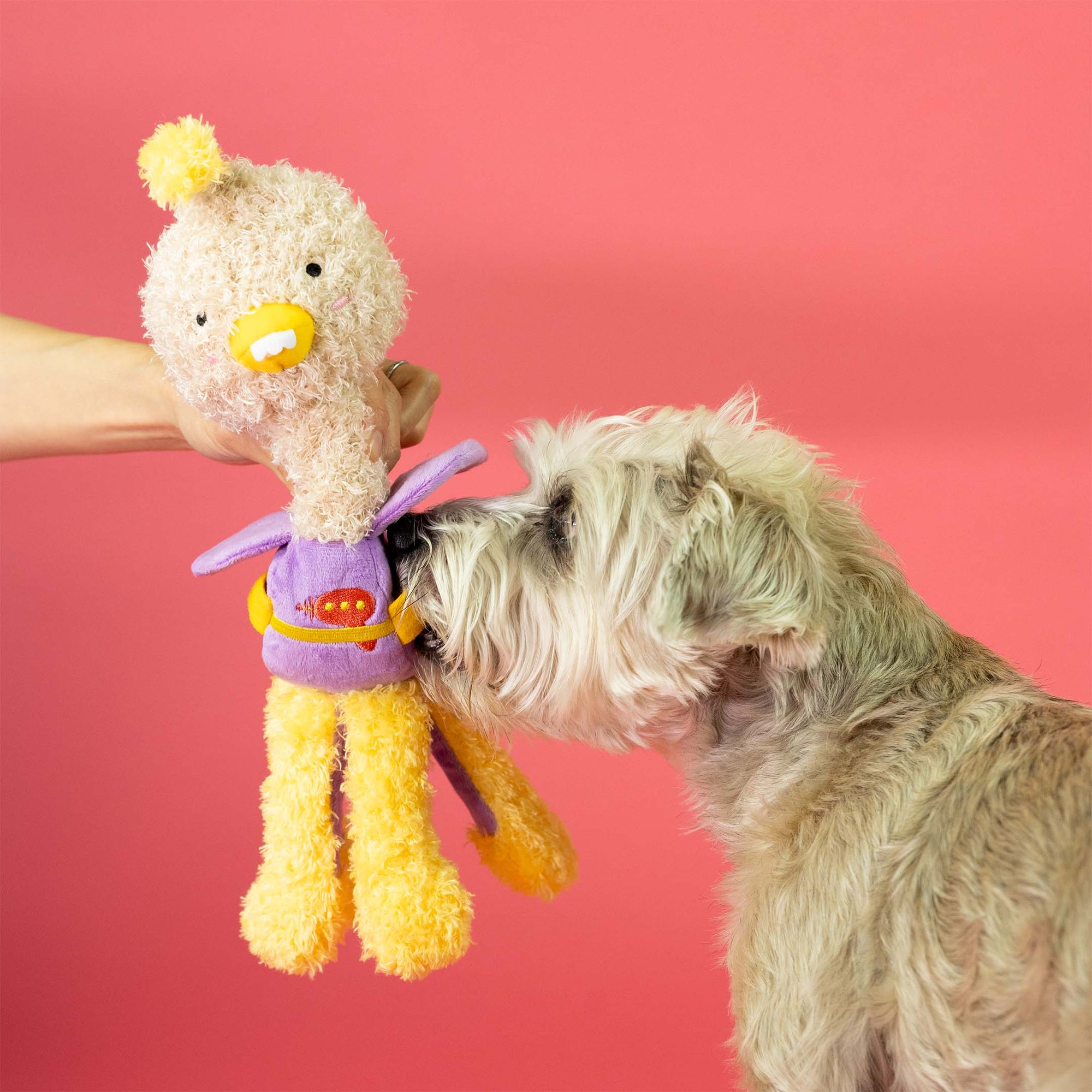 the furryfolks - OstriKraken Nosework Toy