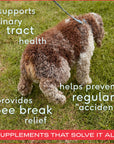 Native Pet - Cranberry Bladder Chews, Kidney & Urinary Supplement for Dog: 60ct