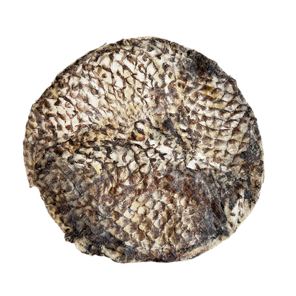 Home Range Pet Treats - Furs-bee® Tilapia