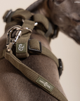 Lucy & Co. - Take a Hike Corduroy Leash