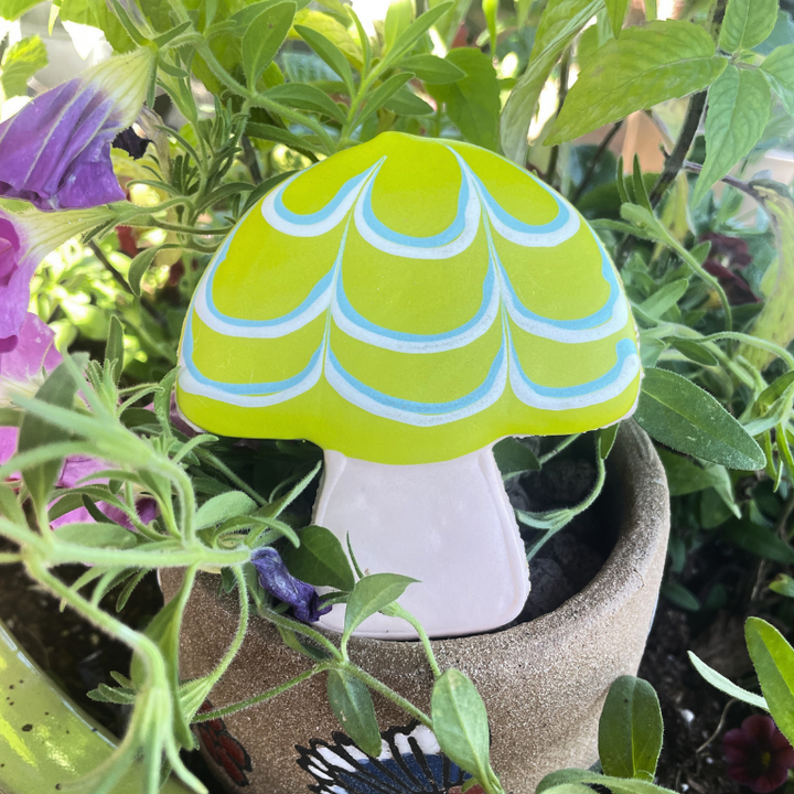 Lucky Biscuit Pet Bakery - Fall Mushroom : Mushroom