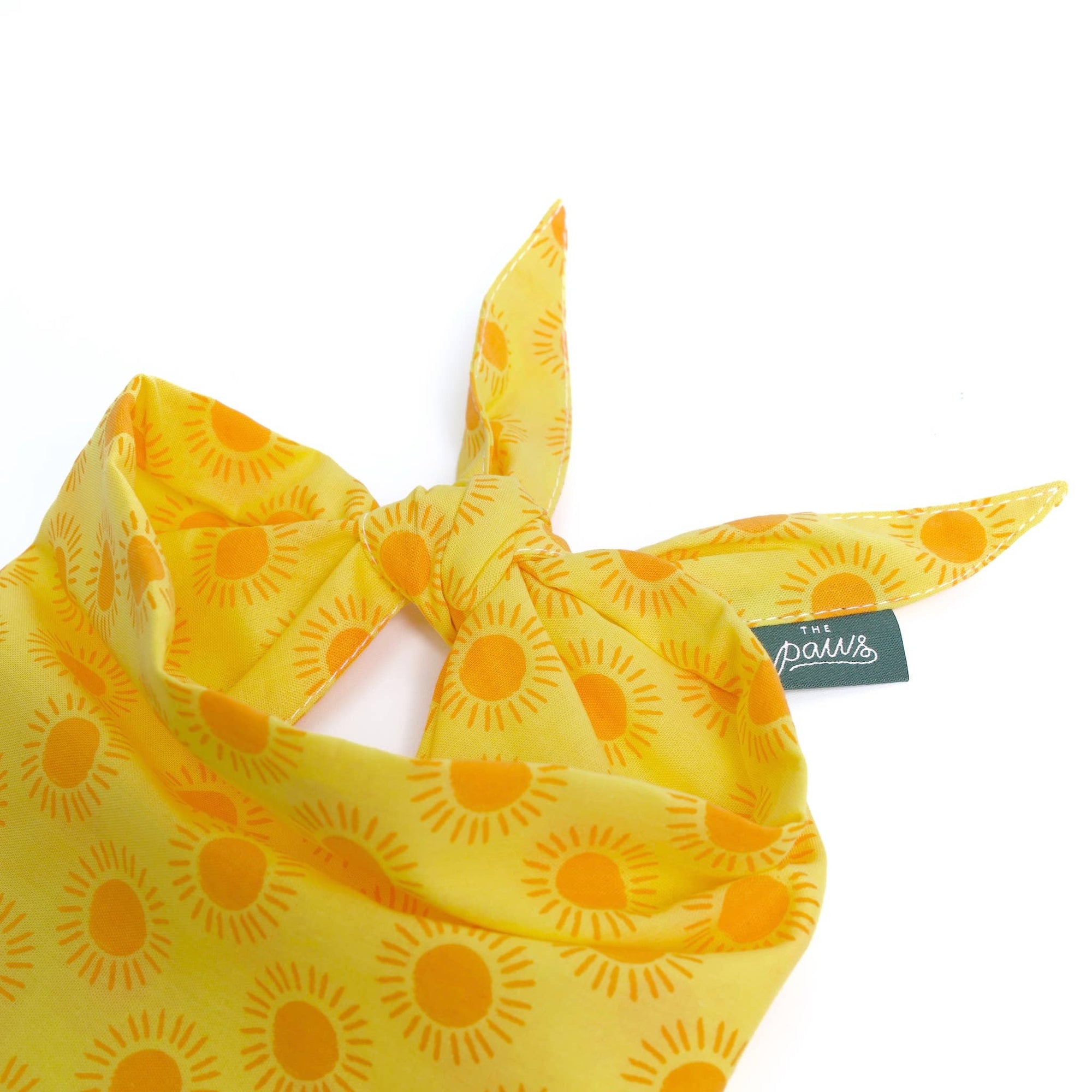 The Paws - Sol Dog Bandana
