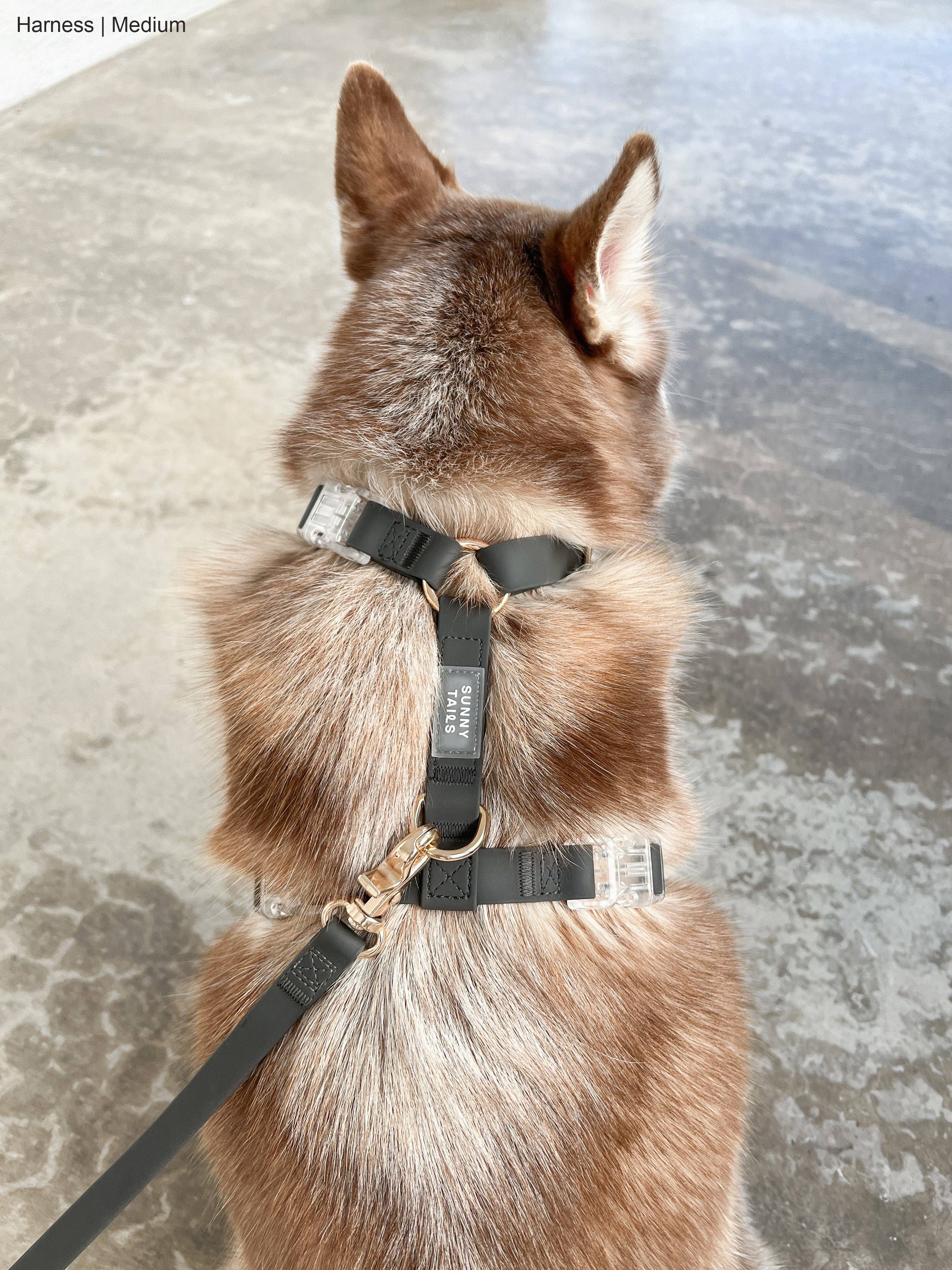 Shop Sunny Tails - Ember Black Cloud Lite Dog Harness: Large