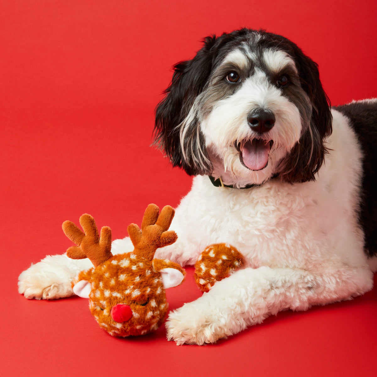 The Foggy Dog - Reindeer 2-in-1 Bounce Dog Toy