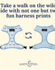 Lucy & Co. - Bowwow Wow! Reversible Harness: L