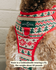Lucy & Co. - Let it Snow No-Pull Harness