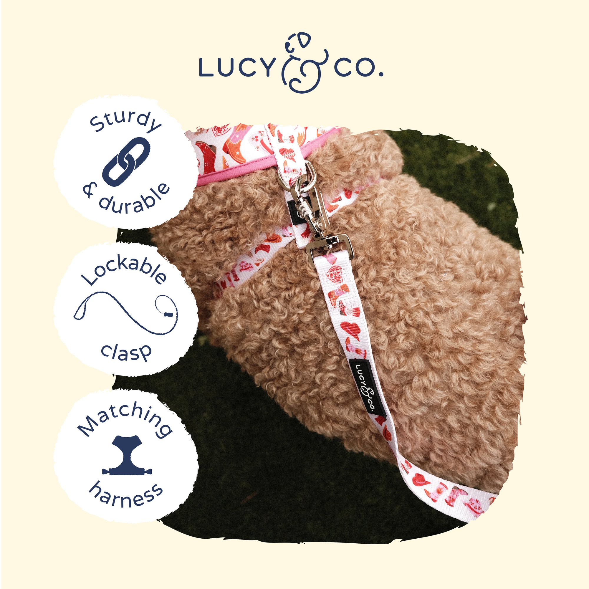 Lucy &amp; Co. - Howdy, Honey Leash: L