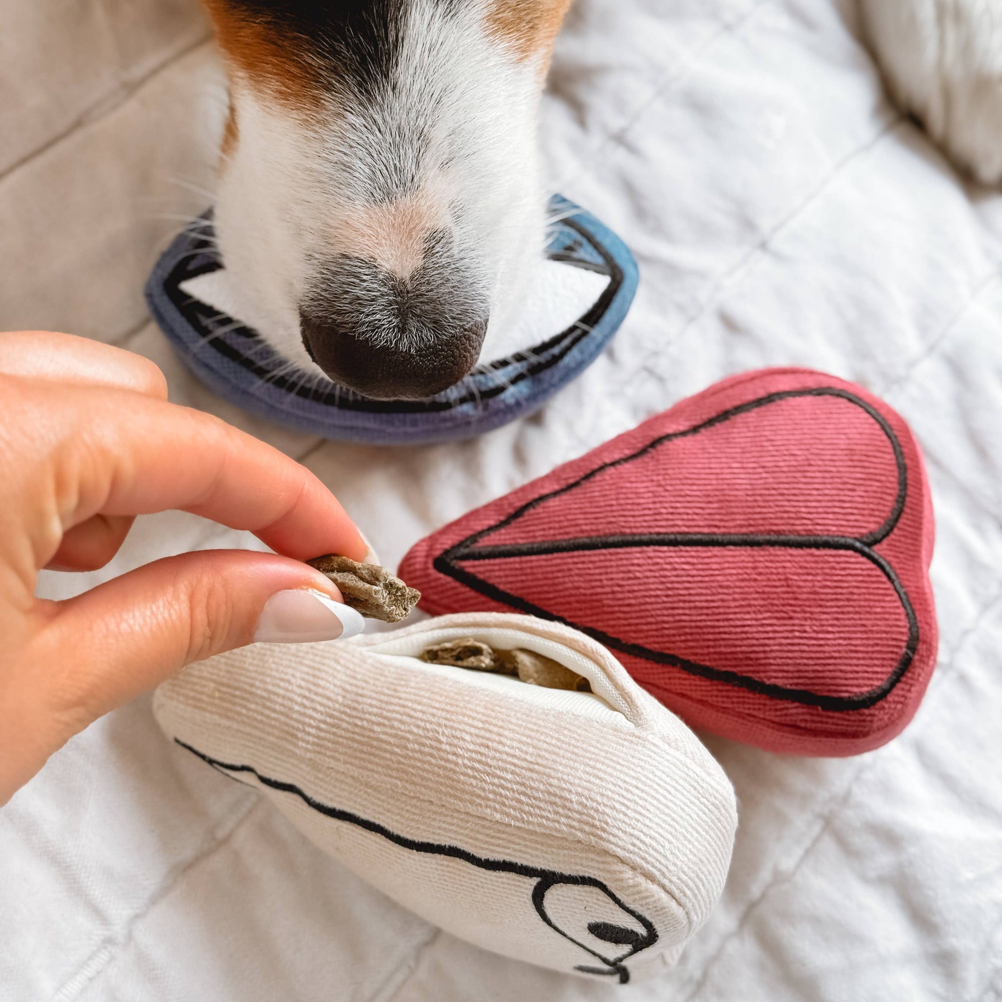 Lambwolf Collective - PICASSO//ENRICHMENT DOG TOY