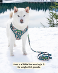 Lucy & Co. - Lucy & Co. x Parks Project Geyser No-Pull Harness