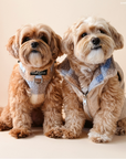 Lucy & Co. - Blue Check Reversible Teddy Vest