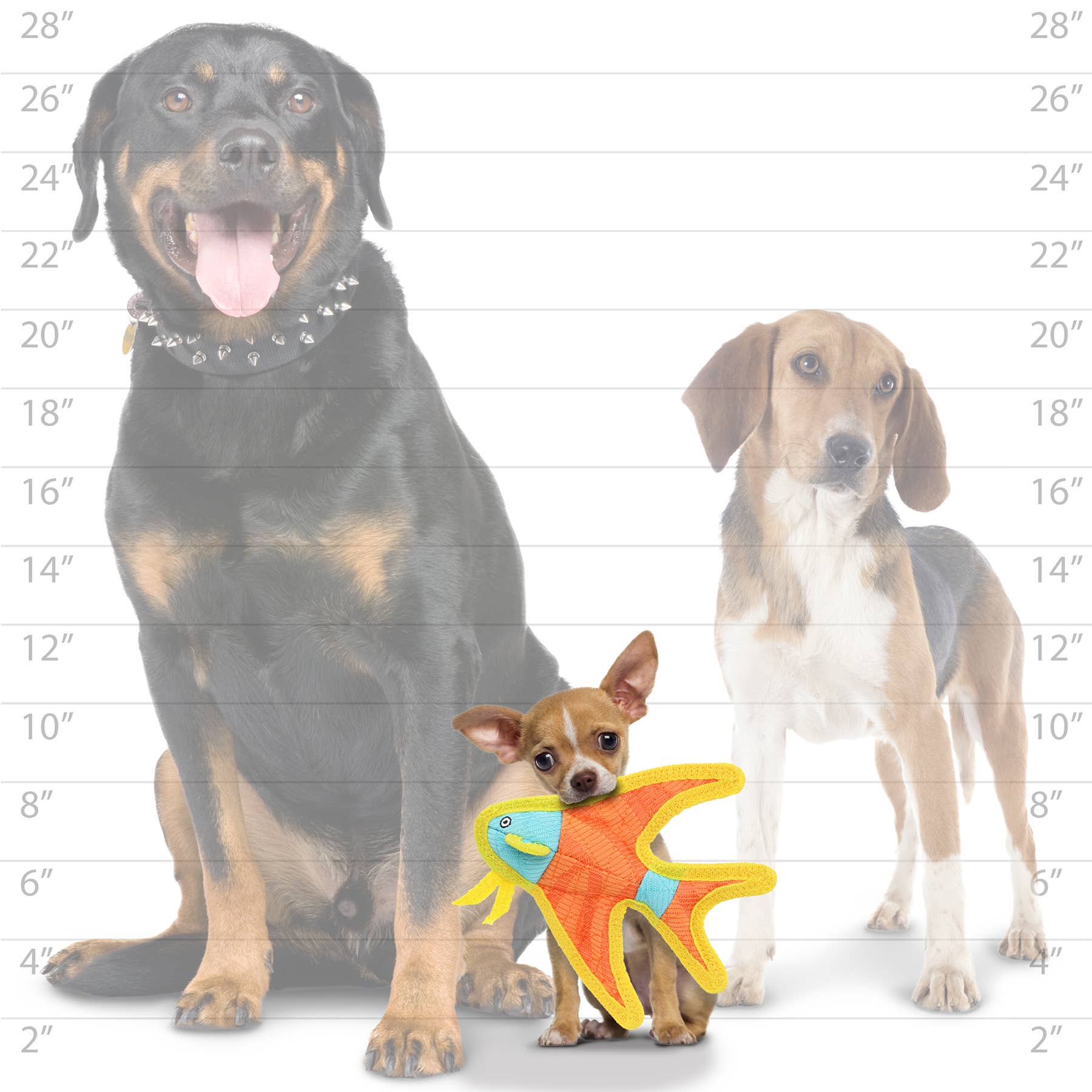 Tuffy Dog Toys - VIP Products - DuraForce Jr Angel Fish - Orange, Durable, Squeaky Dog Toy