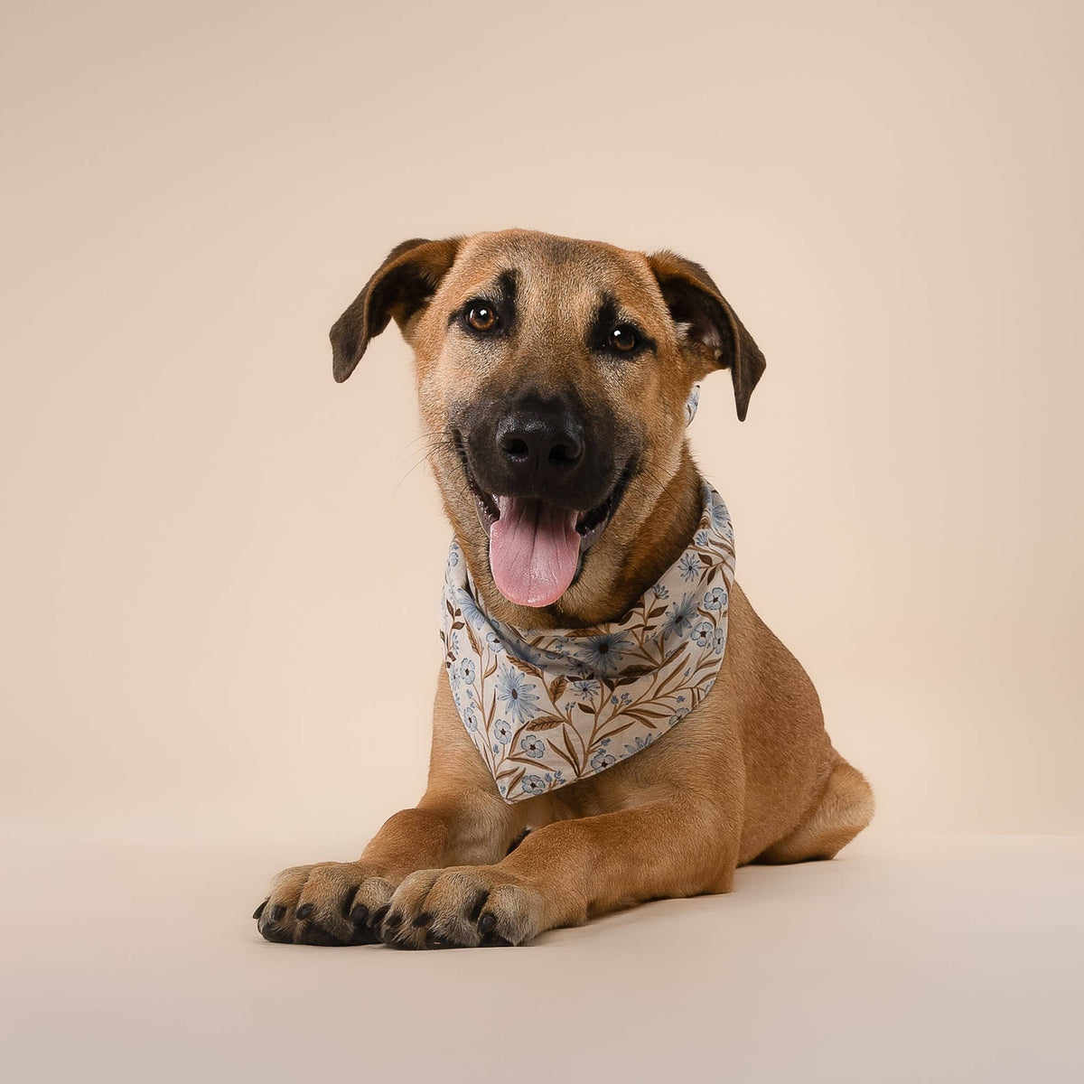 The Paws - Willow Dog Bandana