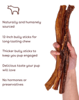 Pupford - Bully Stick Dog Chew 12" 4 Pack