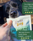 SourDog - Go Bananas - Banana Sourdough Dog Treats