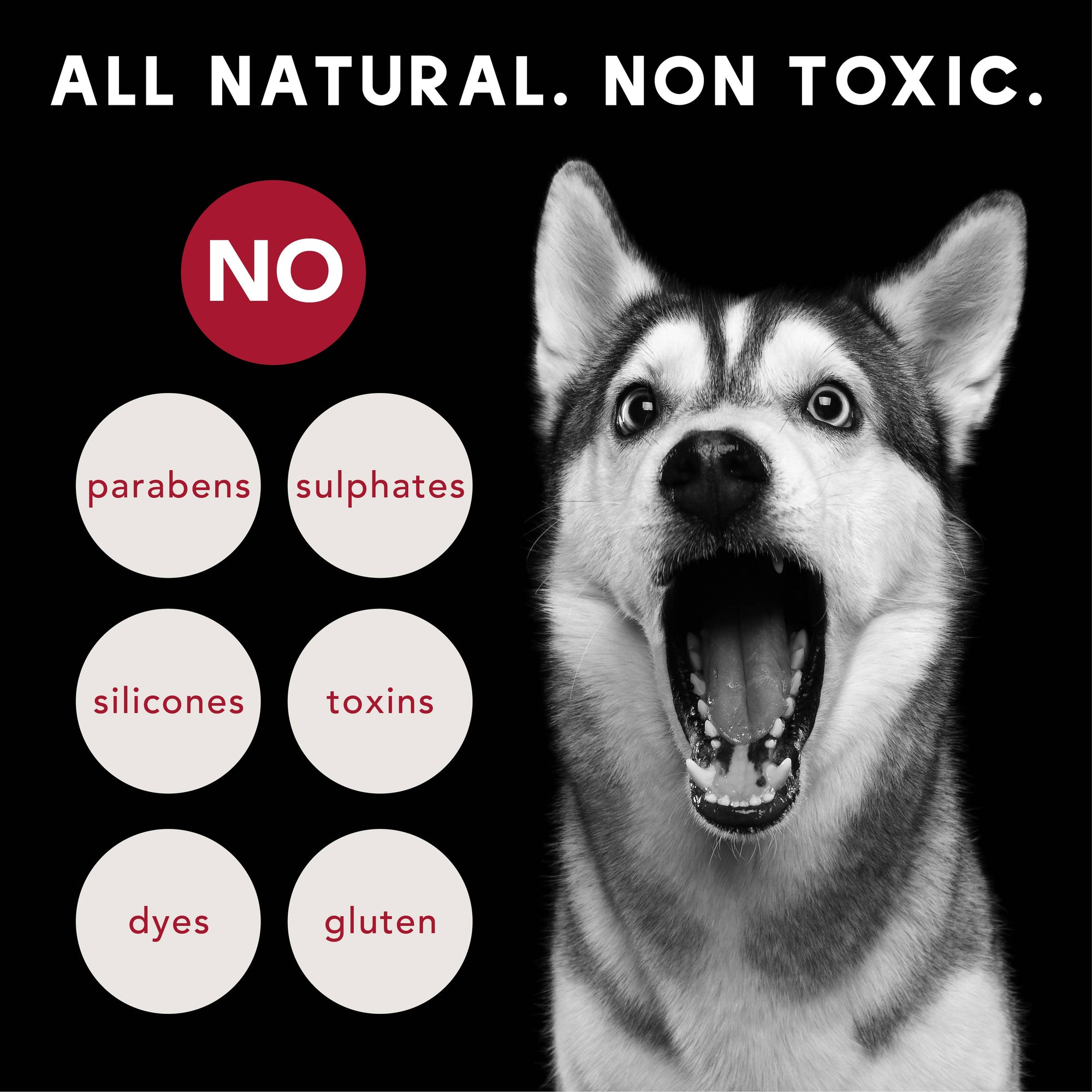 PRIDE+GROOM - THE SENSITIVE ONE | SHAMPOO FOR SENSITIVE COATS + PUPPIES: Medium
