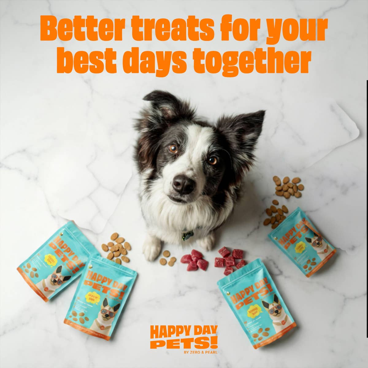 Happy Day Pets - Happy Day Pets Beef Chips Dog Treats | 100% Whole Beef