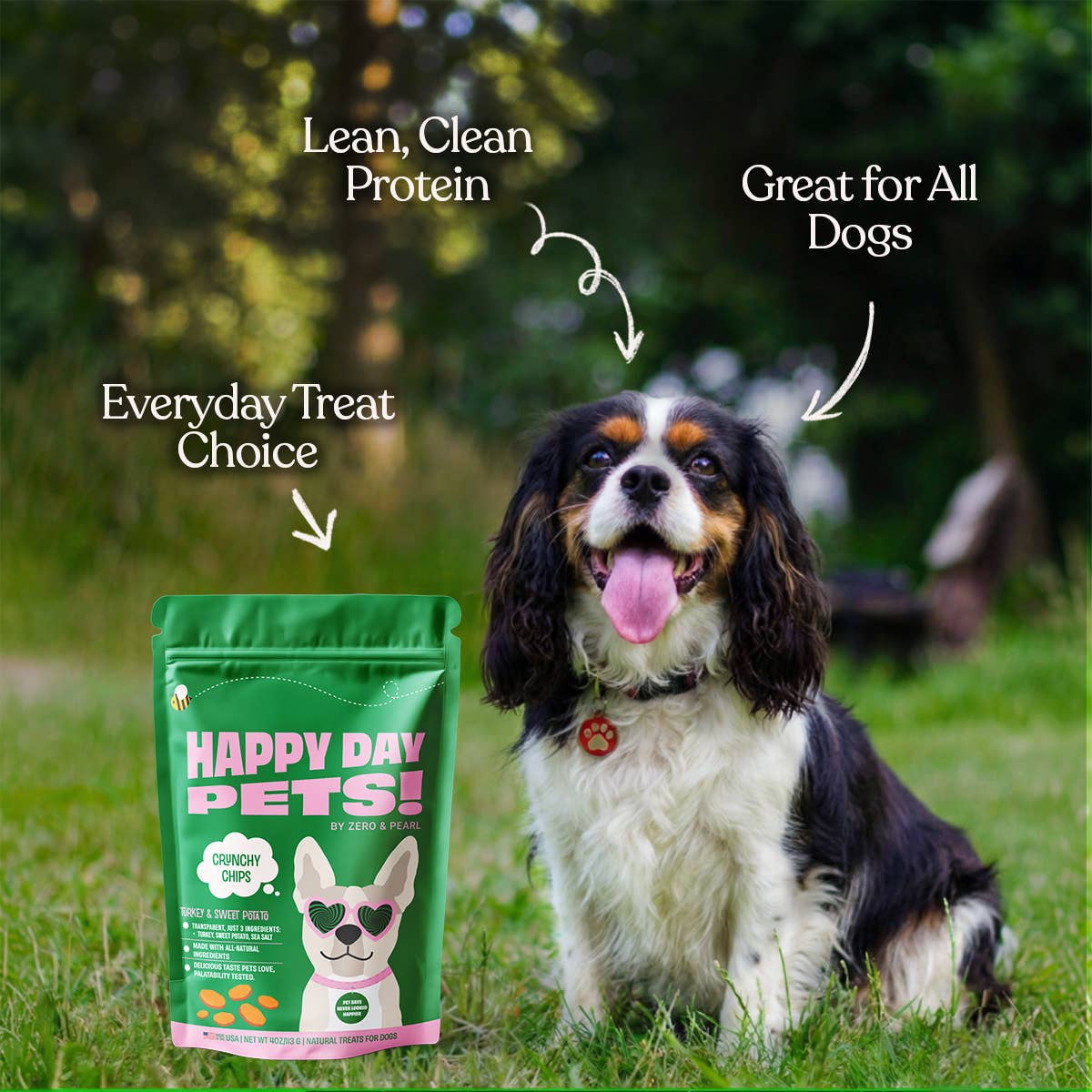 Happy Day Pets - Happy Day Pets Turkey &amp; Sweet Potato Chips Dog Treats