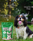 Happy Day Pets - Happy Day Pets Turkey & Sweet Potato Chips Dog Treats