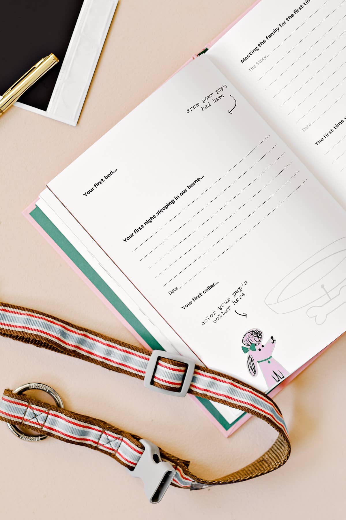 Penguin Random House LLC - Puppy Love