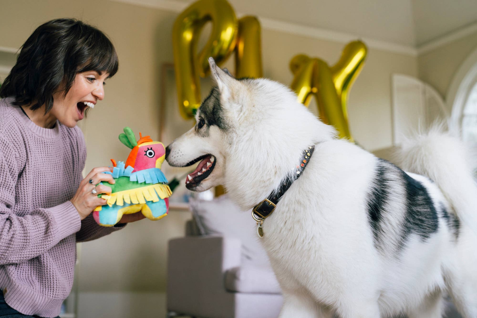Play Pet Brands - Party Animal Collection 15pc set -FREE Merchandising Display