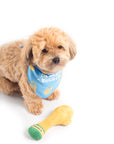 Floofball - Floofa Trophy Dog Toy
