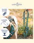 Lucy & Co. - Lucy & Co. x Parks Project Power to the Parks Leash