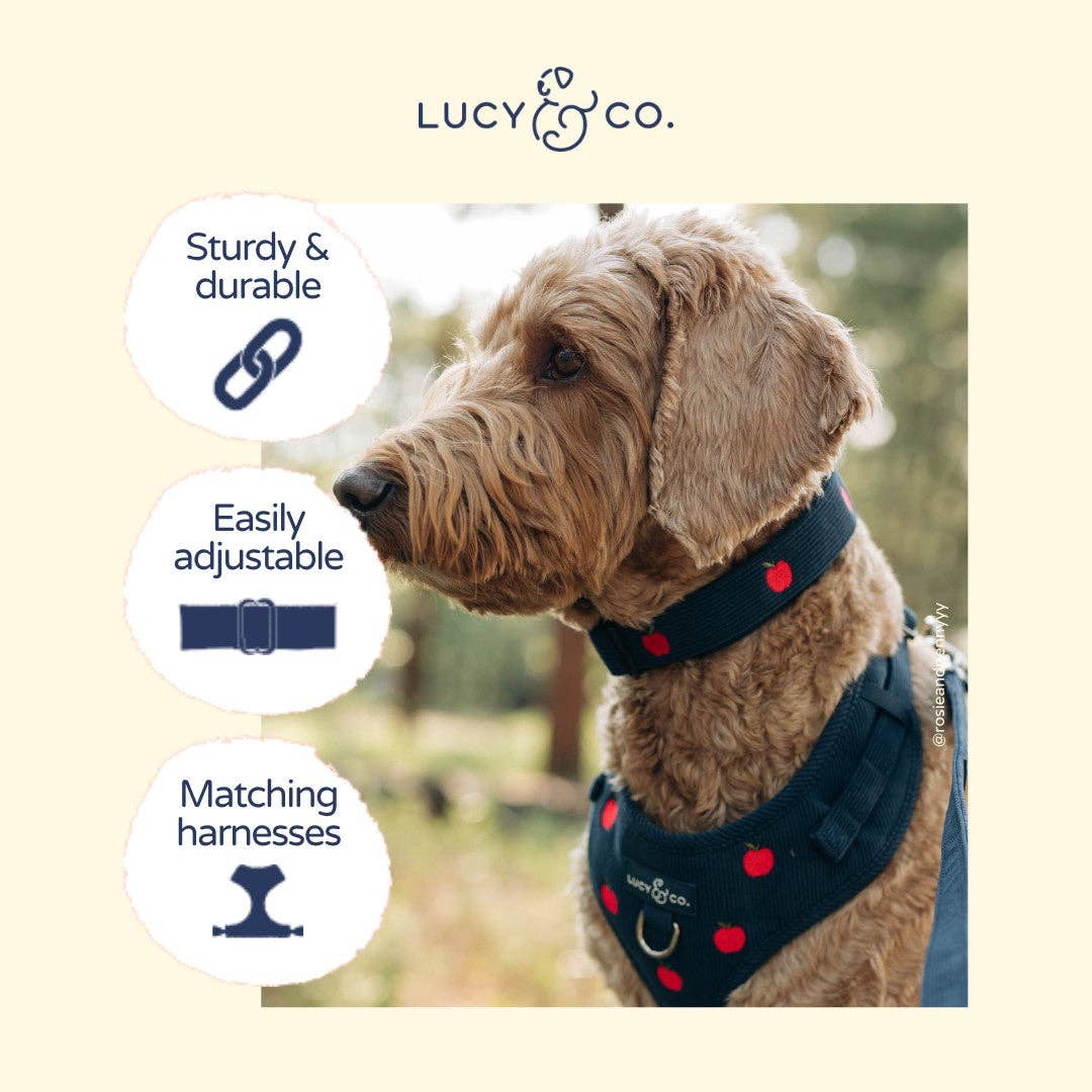 Lucy &amp; Co. - Appley Ever After Corduroy Collar
