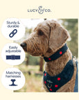Lucy & Co. - Appley Ever After Corduroy Collar