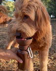 Springland Pets - Limited-Ed Twig 20oz Flip Dog Water + Bottle Treat Dispenser: 20oz Flip Dog Travel Water Bottle