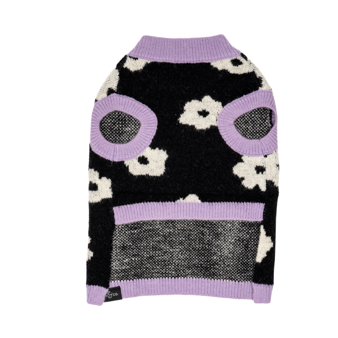Lucy &amp; Co. - Far Out Sweater