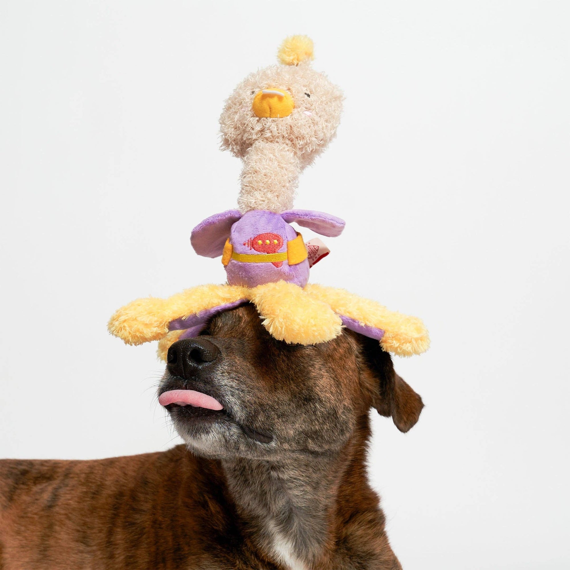 the furryfolks - OstriKraken Nosework Toy