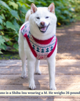Lucy & Co. - The Let it Snow Sweater