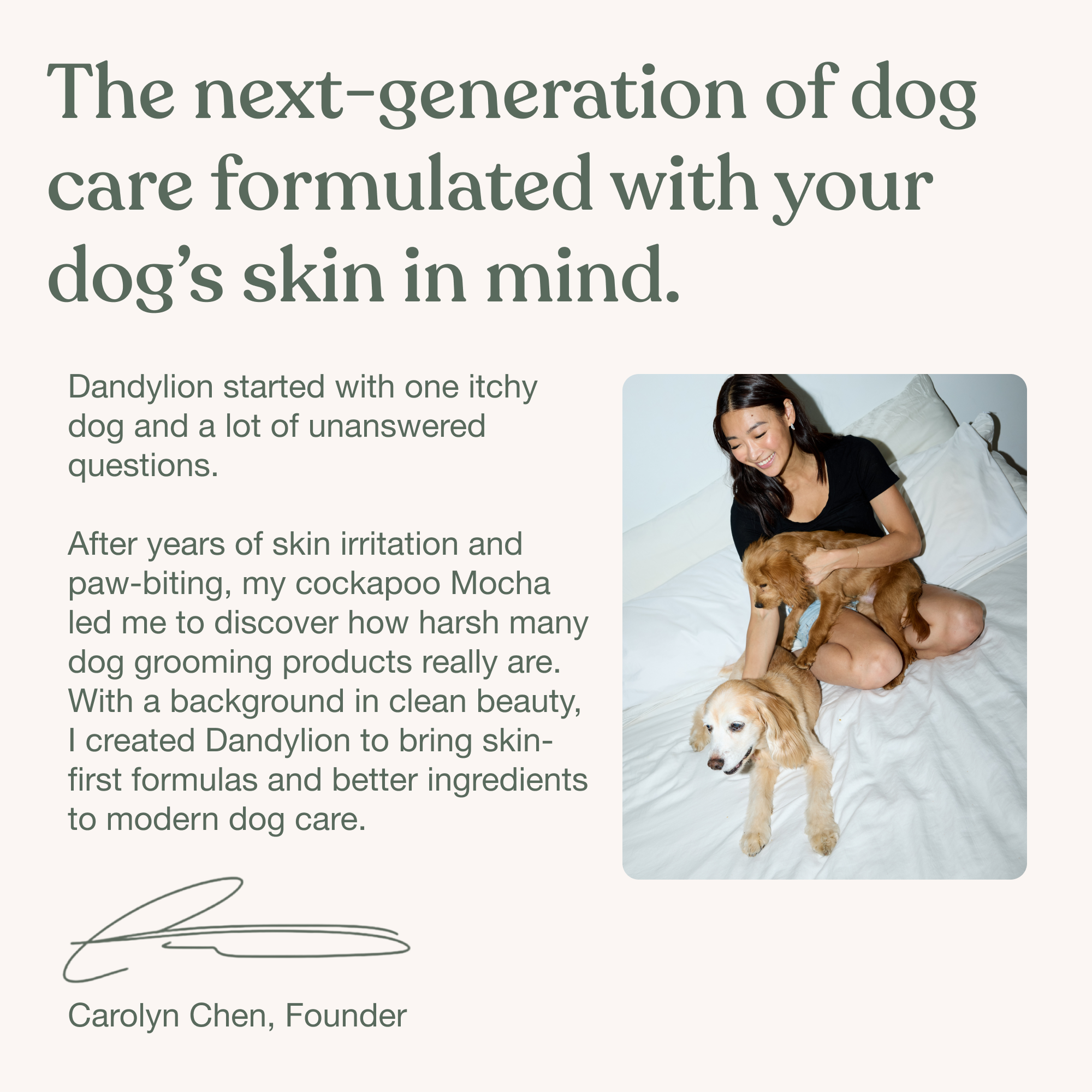Dandylion - Gentle Cleanse Dog Wipes - 90 Wipes