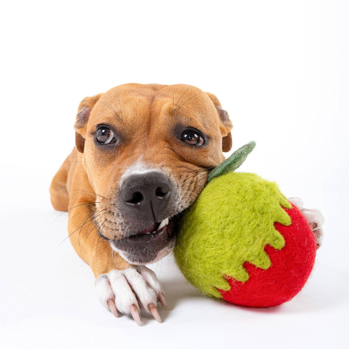 Awoo - Poison Apple Felt Wool Toy