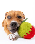 Awoo - Poison Apple Felt Wool Toy