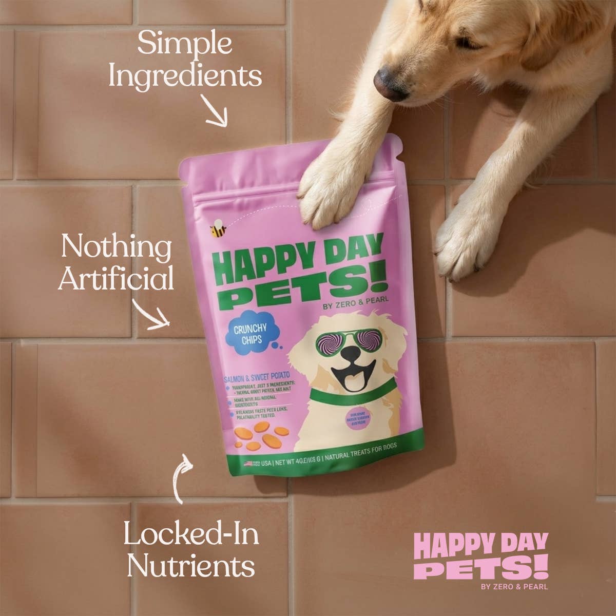 Happy Day Pets - Happy Day Pets Salmon &amp; Sweet Potato Chips Dog Treats