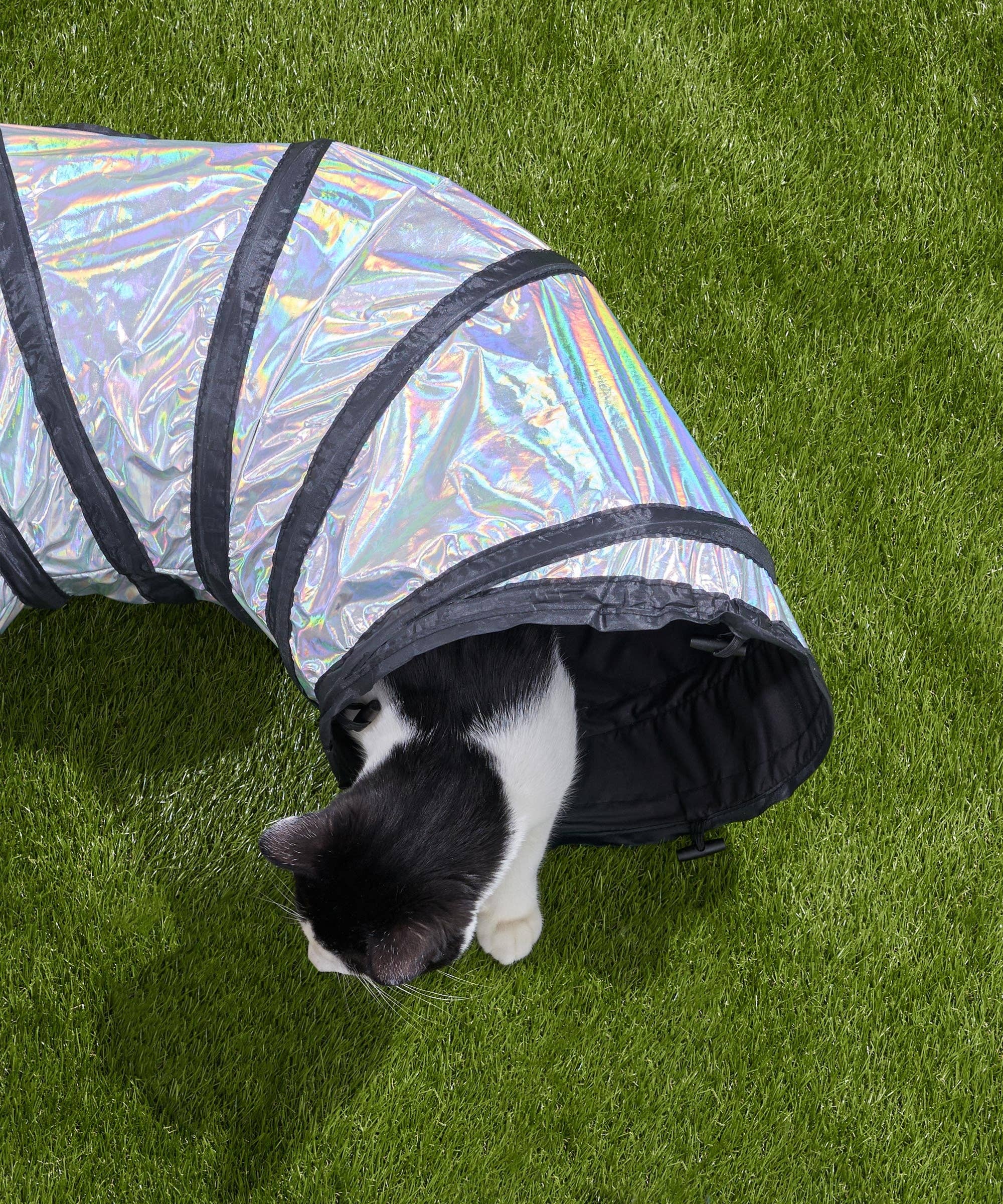 Wild One - Cat Tunnel: Lunar
