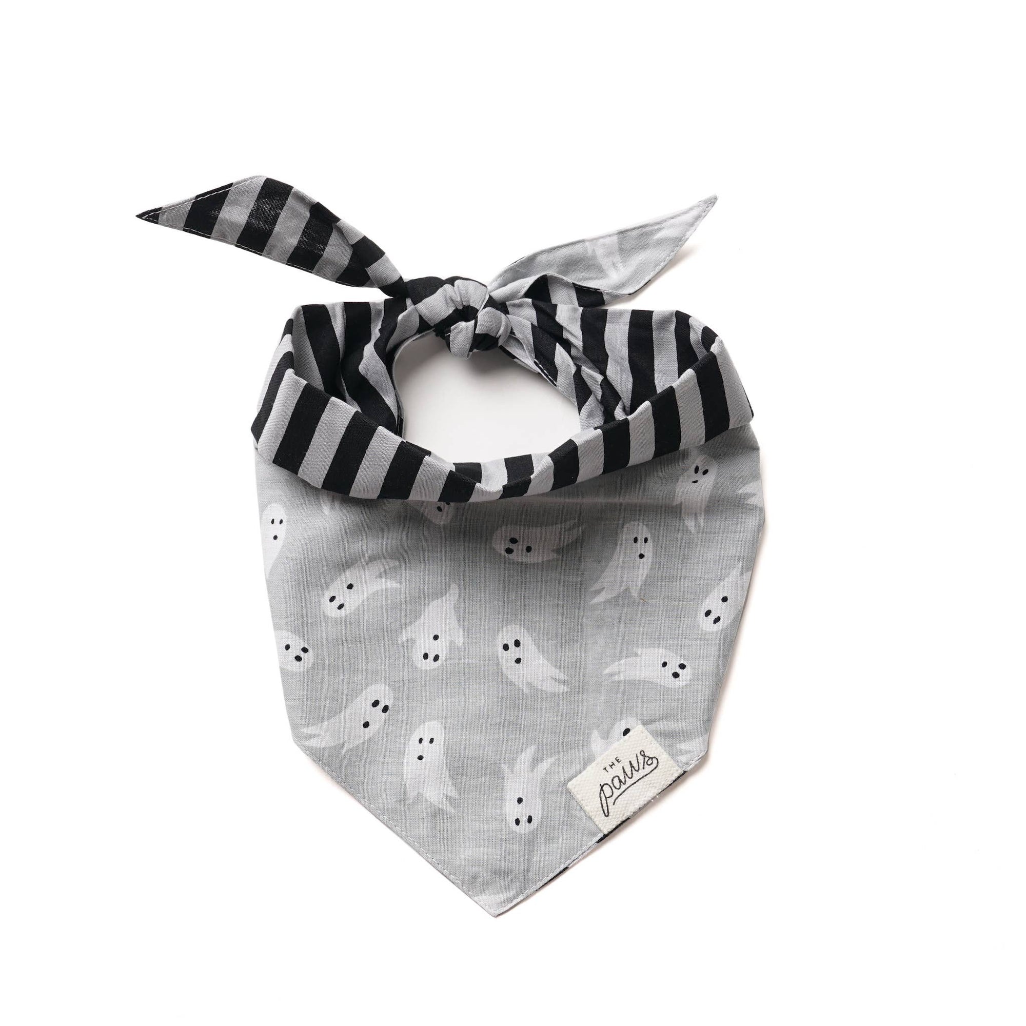The Paws - Spooky Halloween Dog Bandana: XS