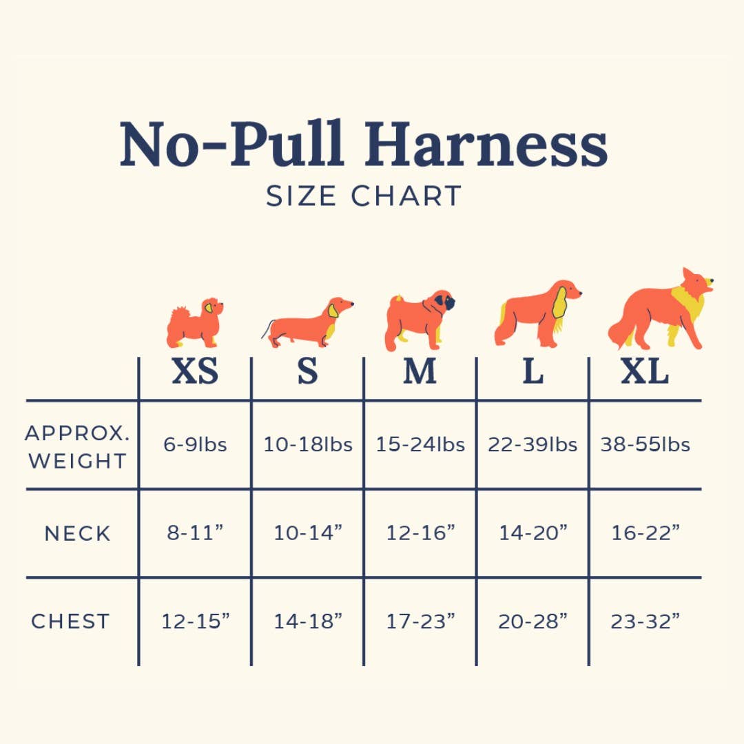 Lucy &amp; Co. - Take a Hike Corduroy No-Pull Harness