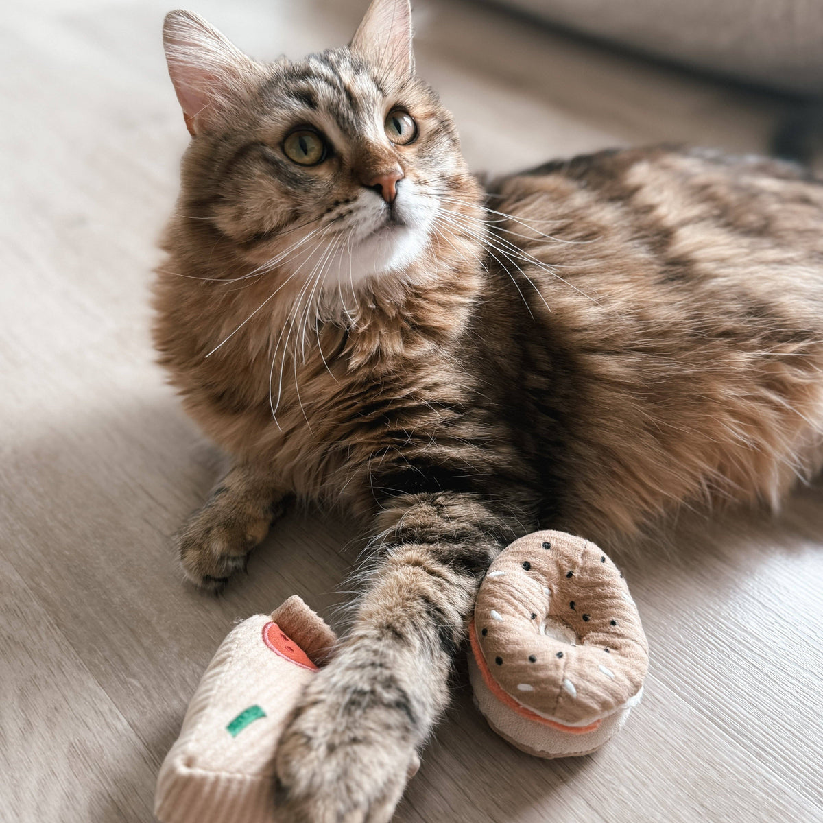 Lambwolf Collective - KITTY PIZZA &amp; BAGEL SET//cat toy: Default Title