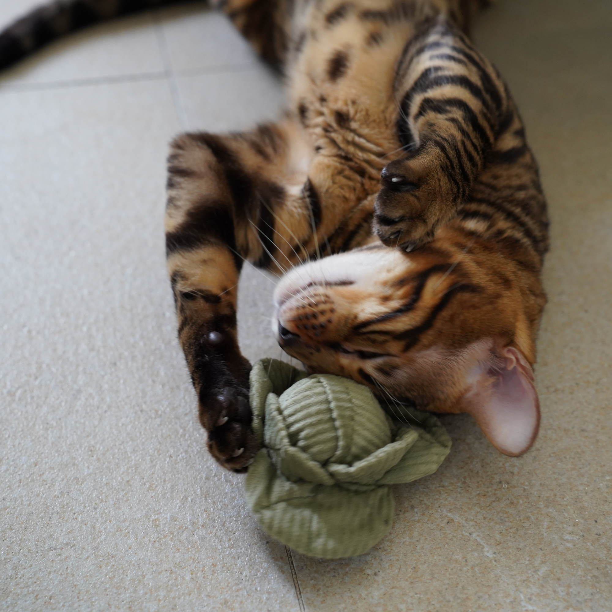 Lambwolf Collective - KITTY VEGGIE SET // CAT TOY // CATNIP
