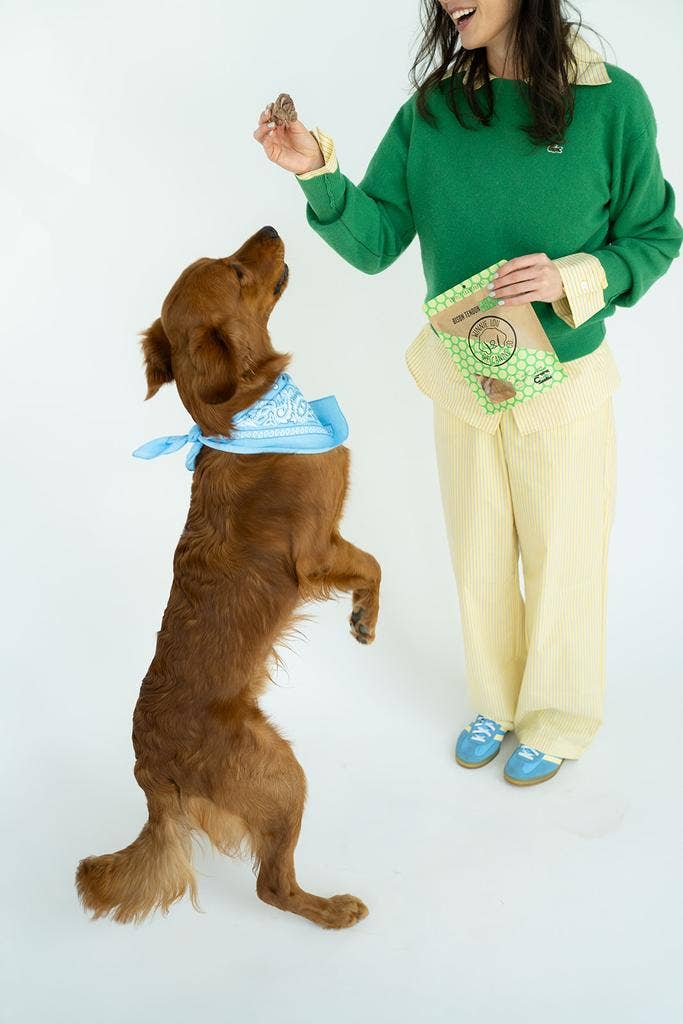 Winnie Lou - Bison Tendon Chews