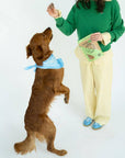 Winnie Lou - Bison Tendon Chews